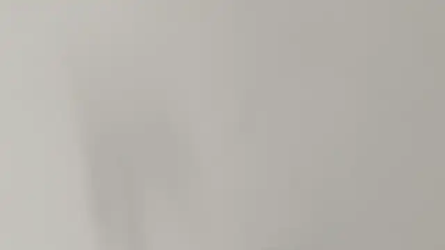 Snapshot of Ashley_Ebony__ chatting on February 7, 1:04 pm Ashley Ebony online show from February 7, 1:04 pm