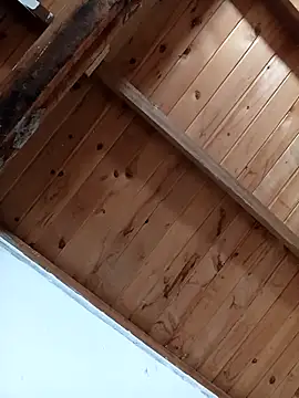 Snapshot of luna_pinky chatting on March 1, 4:42 pm luna pinky online show from March 1, 4:42 pm