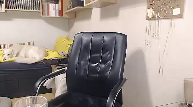 katemodel online show from December 21, 2:04 pm