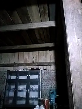 Neoone 1 online show from April 14, 1:06 pm