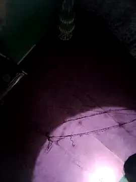 Snapshot of bhavna_pandit chatting on February 17, 8:55 am bhavna pandit online show from February 17, 8:55 am