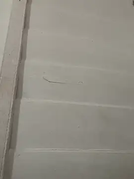 vainillasuave online show from February 1, 3:21 pm