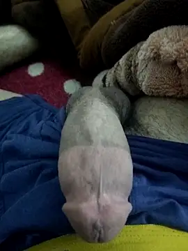 amirMohamed58 online show from February 23, 9:23 pm