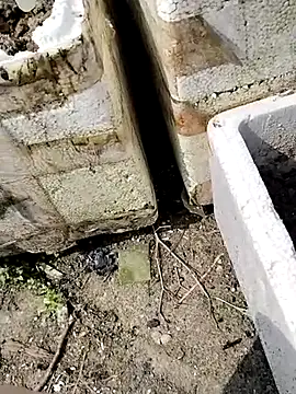 Snapshot of Queen-love45 chatting on March 1, 3:41 am Queen-love45 online show from March 1, 3:41 am