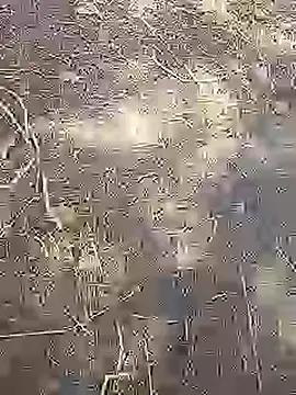 Cute Boy 4 online show from March 14, 8:42 am