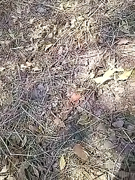 Cute Boy 4 online show from April 16, 7:53 am