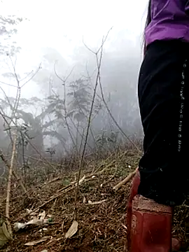 Tina-beo online show from March 21, 8:19 am