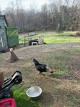 tommattsonn online show from March 22, 9:40 pm