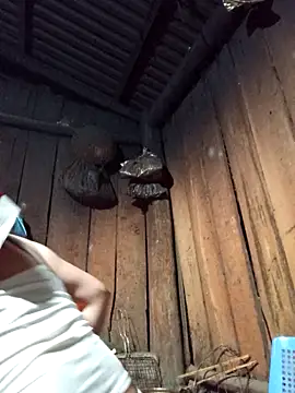 Snapshot of lena-cute chatting on February 5, 12:54 pm lena-cute online show from February 5, 12:54 pm