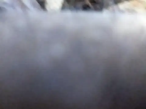 Snapshot of Joecool1009 chatting on February 3, 12:31 am Joecool1009 online show from February 3, 12:31 am