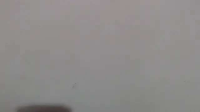 im angel777 online show from February 4, 10:04 pm