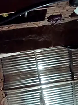 Hot ree64 online show from March 27, 5:23 pm