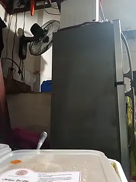 Snapshot of Wildcam21 chatting on February 24, 9:51 am Wildcam21 online show from February 24, 9:51 am