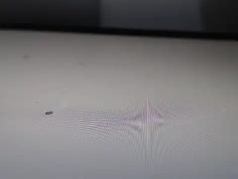 Snapshot of AlyssaBrown chatting on February 21, 7:04 pm AlyssaBrown online show from February 21, 7:04 pm