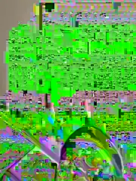 pussyeater - online show from August 7, 6:37 am