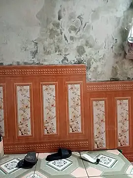 aiai220 online show from March 28, 11:59 pm