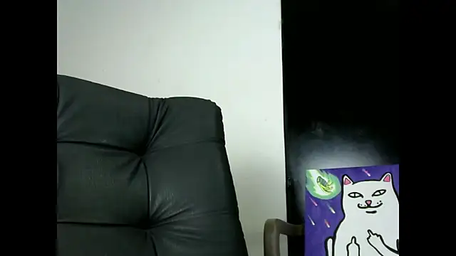 Snapshot of Thommas8a chatting on February 20, 4:42 am Thommas8a online show from February 20, 4:42 am