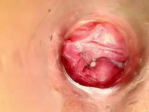 karol kane online show from February 11, 3:17 pm