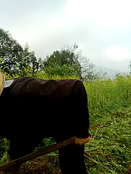 nelina 12345 online show from March 26, 1:44 am