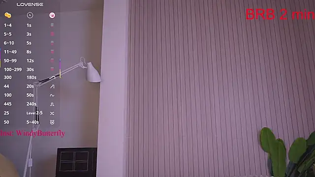 WindyButterfly online show from April 21, 7:25 am