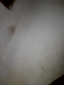 Snapshot of iwantolderwmn chatting on February 19, 1:45 am iwantolderwmn online show from February 19, 1:45 am