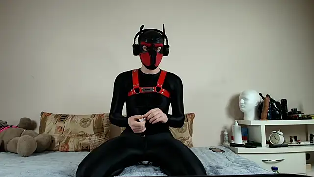 K9 GoodBoy online show from April 26, 9:23 pm