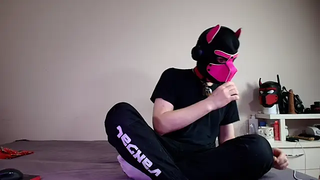 K9 GoodBoy online show from June 18, 5:28 pm