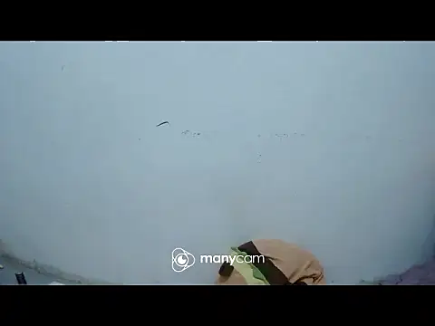 exotic girl69x online show from March 4, 2:45 pm