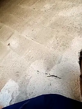 negopreto  online show from February 24, 7:34 pm