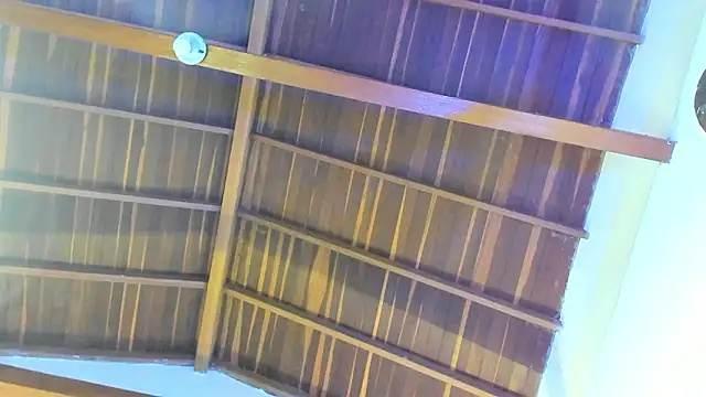 Snapshot of TonyPetrovjs chatting on February 26, 5:50 am TonyPetrovjs online show from February 26, 5:50 am