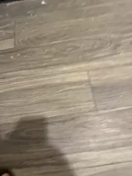 SavorredEscapist online show from February 26, 6:45 am