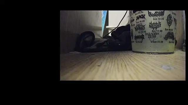 Snapshot of ts_dina chatting on March 3, 10:26 pm ts dina online show from March 3, 10:26 pm