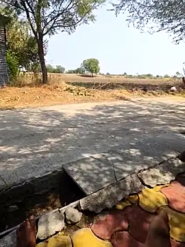 Fantasy King 3939 online show from March 13, 8:43 am