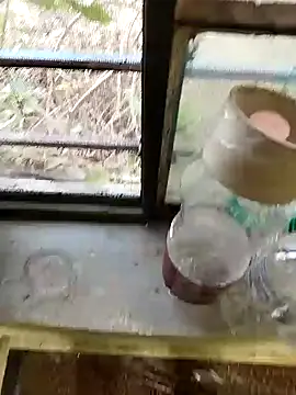 Snapshot of blackbeauty321 chatting on February 26, 11:20 am blackbeauty321 online show from February 26, 11:20 am