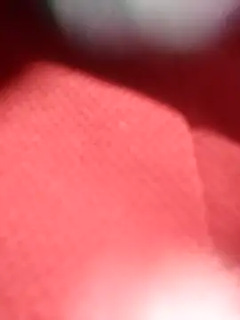 Snapshot of jackkk0011 chatting on February 26, 12:48 pm jackkk0011 online show from February 26, 12:48 pm