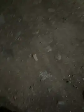 Snapshot of parth73637 chatting on February 23, 2:47 pm parth73637 online show from February 23, 2:47 pm