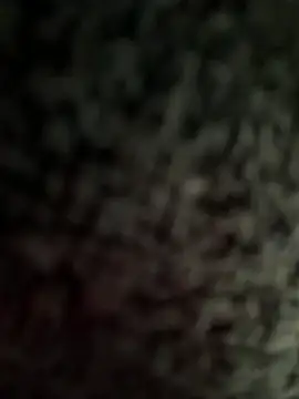 jesus-31 online show from April 2, 12:41 am