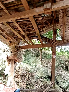 elen8800 online show from April 14, 4:07 am