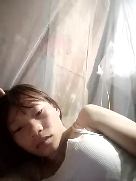 pic8800 online show from March 31, 7:14 pm