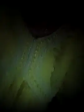 Rashmika Mandana online show from April 8, 7:03 pm