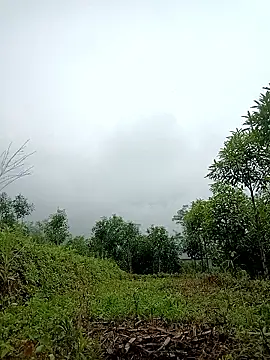 lyly sexx online show from April 2, 2:20 am