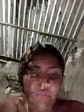 single kitten online show from March 20, 3:22 am