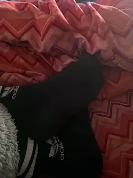 DAPHNE  00 online show from March 7, 9:17 am