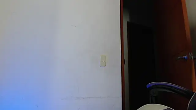 kamado DSL online show from March 22, 6:06 am