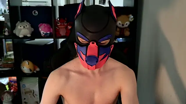 MellPUP online show from June 8, 8:42 pm