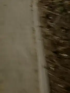 Snapshot of MarekPublicShow chatting on March 3, 9:42 pm MarekPublicShow online show from March 3, 9:42 pm