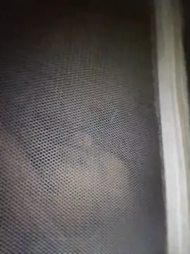 mylove-cute online show from April 11, 9:52 pm