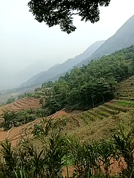 Yuhi3d online show from April 14, 3:45 am