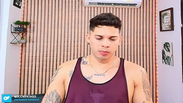 johan speitzer online show from April 13, 2:39 am