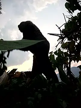 Bling-pusy online show from April 8, 11:32 am